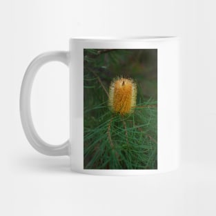 Hairpin Banksia Mug